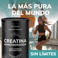 thumbnail image 2 of Creatina Monohidratada Micronizada en Polvo Quotidien | Alta Pureza Certificada | Con Scoop Dosificador - Creatine Monohydrate Pre Entreno - Platinum - Creatina Mujer / Hombre - Gym - 450g, 2 of 8