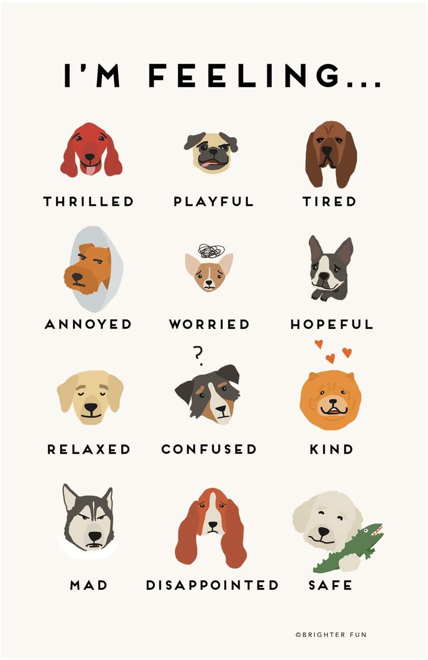 Feelings Chart Dogs Children S Classroom Bedroom Nursery Poster Fb56ac93 1936 4f43 8c3e 8acd6f4fb17a.eae46c534af35008351f6afa4d9e16b3