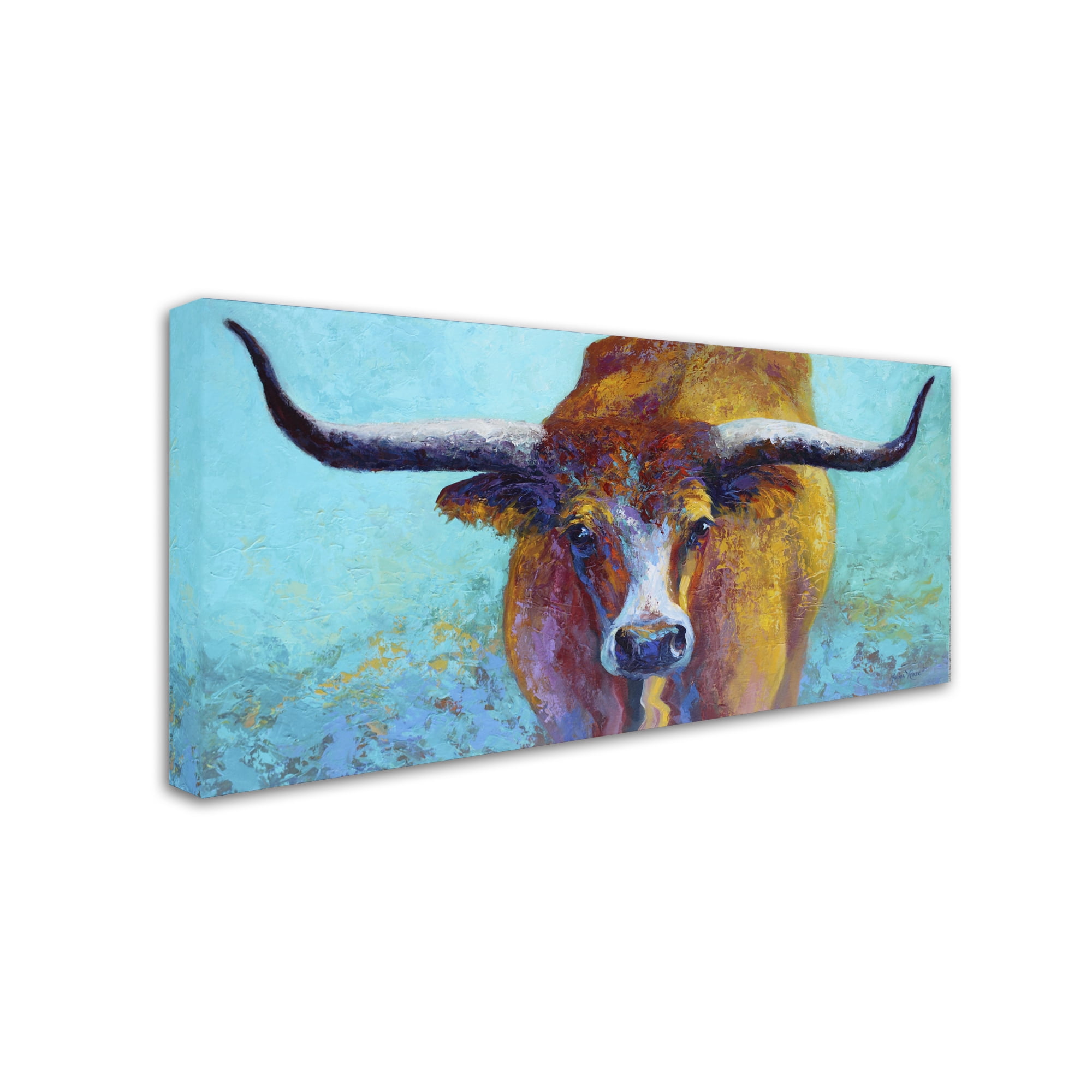 Trademark Fine Art 'Wide Spread' Canvas Art by Marion Rose