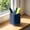 Black171, variant on LEFTHIGH Home Desk Pen Holder Multifunctional Desktop Organizer Large Capacity Pencil Cup Non Slip Durable for Office Indoor Home Study Desk Accessories