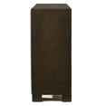 thumbnail image 3 of ACME Merveille 39" x 35" Brown Transitional Dresser Mirror, 3 of 7