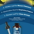 USDA Organic Mullein Leaf Drops Herbal Lung Detox and Cleanse