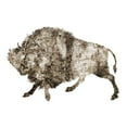 thumbnail image 3 of Phillip, Jamie 18x15 Black Modern Framed Museum Art Print Titled - Rustic Bison 3, 3 of 5
