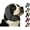 Black,Medium#1, variant on Dog Ear Muffs Noise Protection, Anti-Anxiety & Noise Reducing Calming Hoodie for Thunder & Fireworks (Blue,Small)