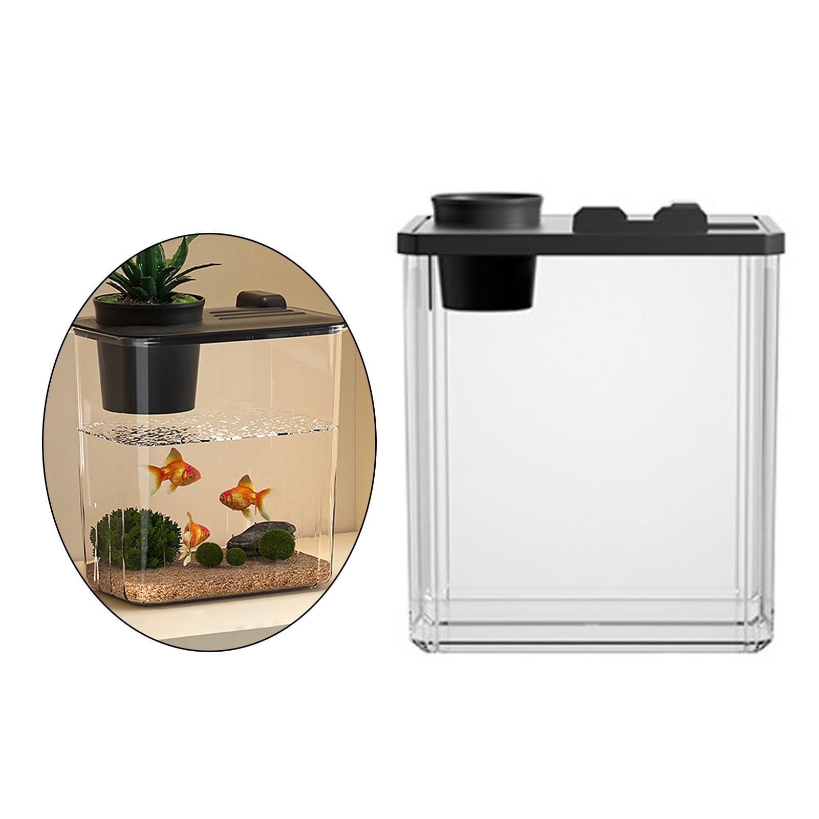 Bvdfgk Reptile Terrarium Tank Clear Visibility Desktop Habitat Small Fish Aquarium Tank for Fish , Black