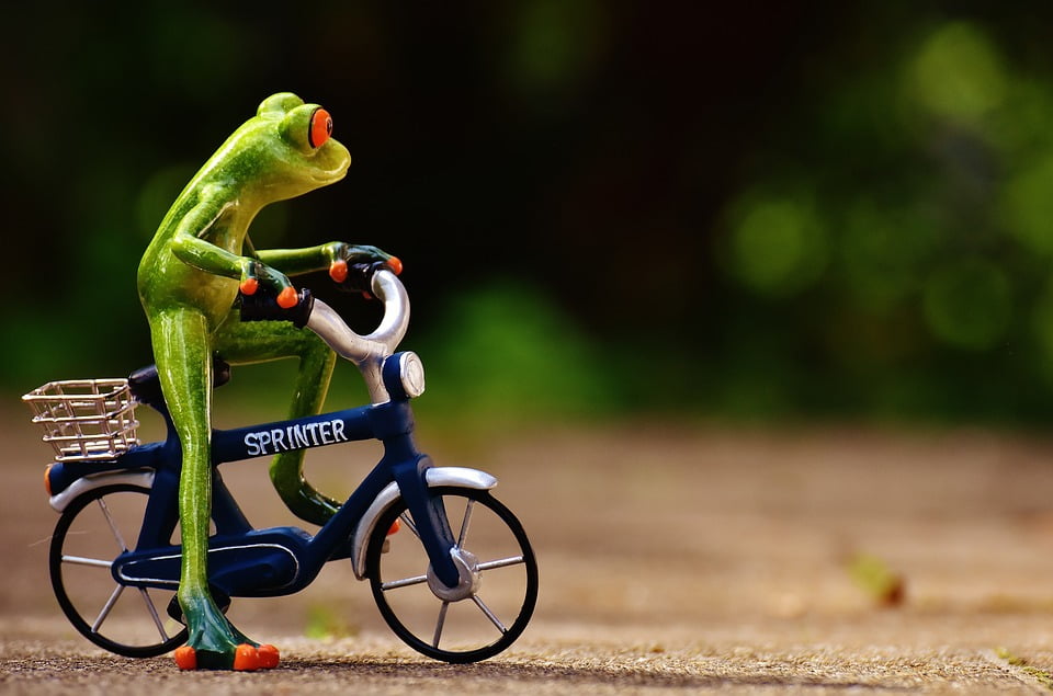 frog bike 18 inch