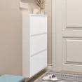 thumbnail image 4 of Zapatero de acero ultrafino, colgante de pared, gran capacidad, 12-15 cm, entrada del hogar, pasillo, vestíbulo, simplicidad moderna de hierro, 4 of 4