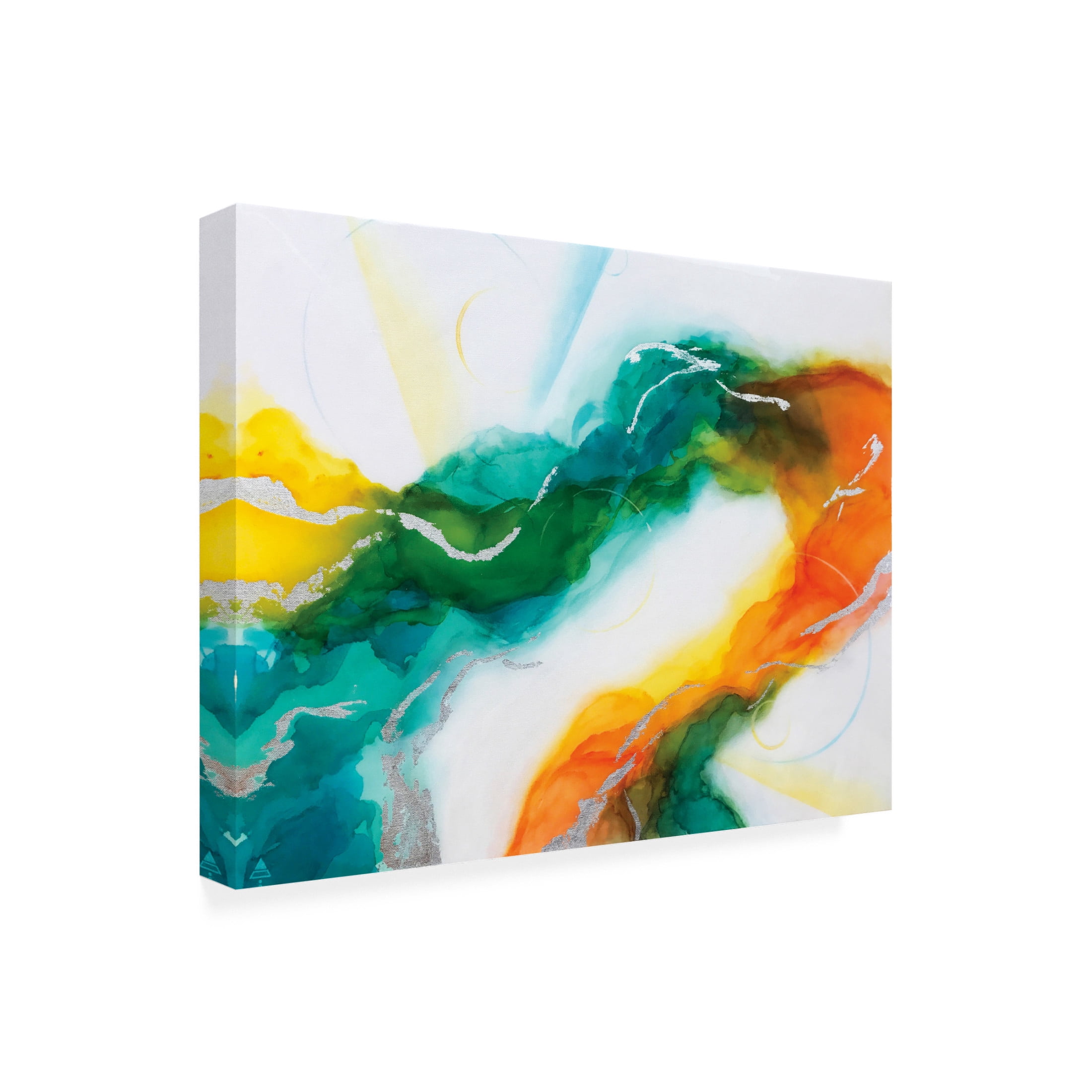 Trademark Fine Art Alyson Storms  Adaptive Optics Canvas Wall Art