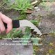 thumbnail image 5 of 1pc Stainless Steel Manual Puller Ergonomic Garden Weeding Tool For Garden Care Deep Crevice Removal Loosening Potting For Narrow, 5 of 8