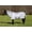 White, variant on TuffRider Comfy Mesh Combo Neck Fly Sheet