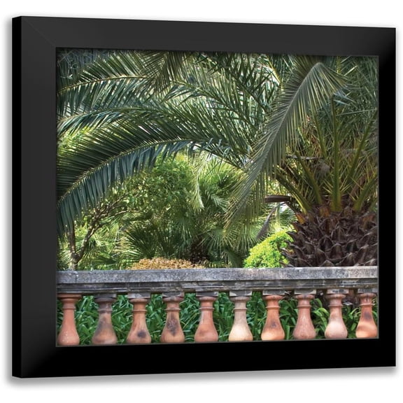 Crane, Rita 12x12 Black Modern Framed Museum Art Print Titled - Palace Garden Palms I