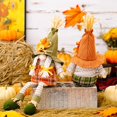 thumbnail image 4 of BNNG ‌2 Pack Thanksgiving Gnomes – Fall Swedish Tomte Decor with Maple Leaves – Plush Holiday Gnome Figurines for Autumn, Harvest & Christmas – Cute Gift for Gnome Lovers & Home Decor‌, 4 of 6