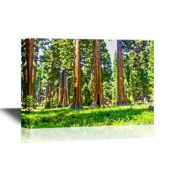 wall26 - Watercolor Style Canvas Wall Art - The Famous Big Sequoia Trees are Standing in Sequoia National Park - Gallery Wrap Modern Home Art | Ready to Hang - 12x18 inches