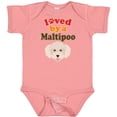 thumbnail image 3 of Inktastic Maltipoo Dog Gift Poodle Maltese Boys or Girls Baby Bodysuit, 3 of 5