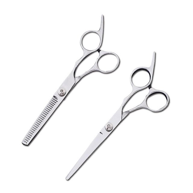 Kit de corte de pelo profesional, tijeras, 6 tijeras de pelo con peine para cualquier persona y mascota, paquete de 2+2