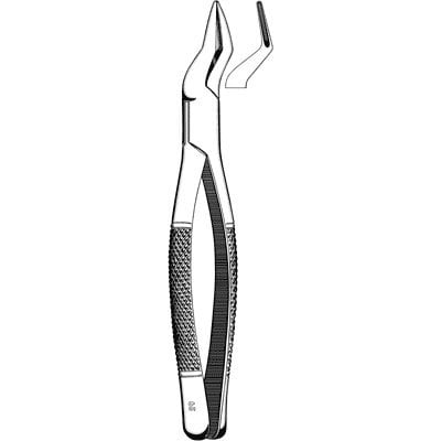 Dental Extracting Forceps #65 7”