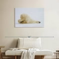 thumbnail image 2 of Elephant Stock Lazy Polar Bear Wall Art - Horizontal Canvas Wall Art - Living Room Wall Decor - Animal Canvas - White And Beige Decor - 36" x 24", 2 of 8