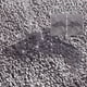 thumbnail image 3 of Bearachild Alfombra de baño de ducha de secado rápido con exquisita artesanía, sin hilos sueltos, sector de alfombra de ducha de baño Decoración del hogar Gris, 3 of 6
