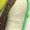 WHITE, variant on Shrek - Airbrush Shrek Rules Men's Long Sleeve Graphic T-Shirt