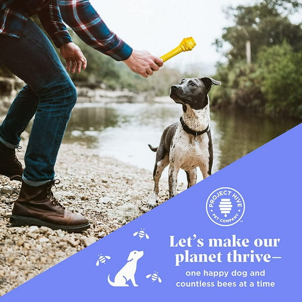 Dog clearance fetch stick