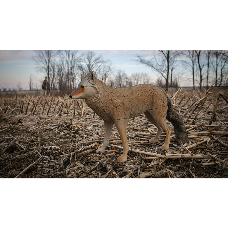 Flambeau Outdoors, Master Series, Lone Howler, Coyote Predator Decoy, 1  Piece, 7 Pounds Assembled
