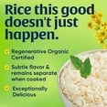 thumbnail image 3 of Lundberg White Rice, Regenerative Organic Certified – Non-Sticky, Aromatic Long Grain Rice, Responsibly Grown in California, 32 Oz(Packaging May Vary), 3 of 5