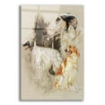thumbnail image 1 of Epic Art 'Borzoi 2' by Barbara Keith, Acrylic Glass Wall Art, 16"x24", 1 of 8