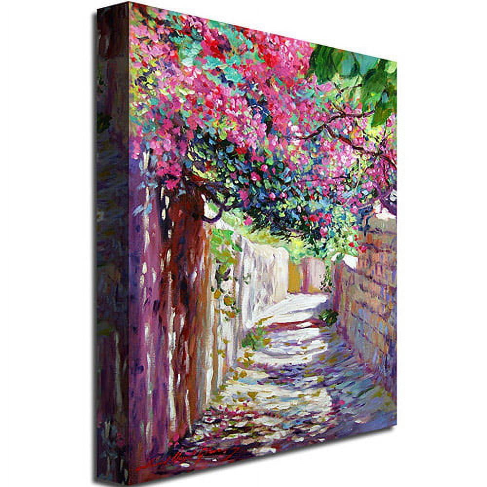 Trademark Art "Shady Lane Greece" Canvas Wall Art by David Lloyd Glover