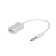 thumbnail image 4 of Cable convertidor Irfora Jack de audio AUX para automóvil masculino de 3,5 mm a cable adaptador convertidor hembra cable USB 2.0 OTG (blanco) Irfora Cable convertidor, 4 of 5