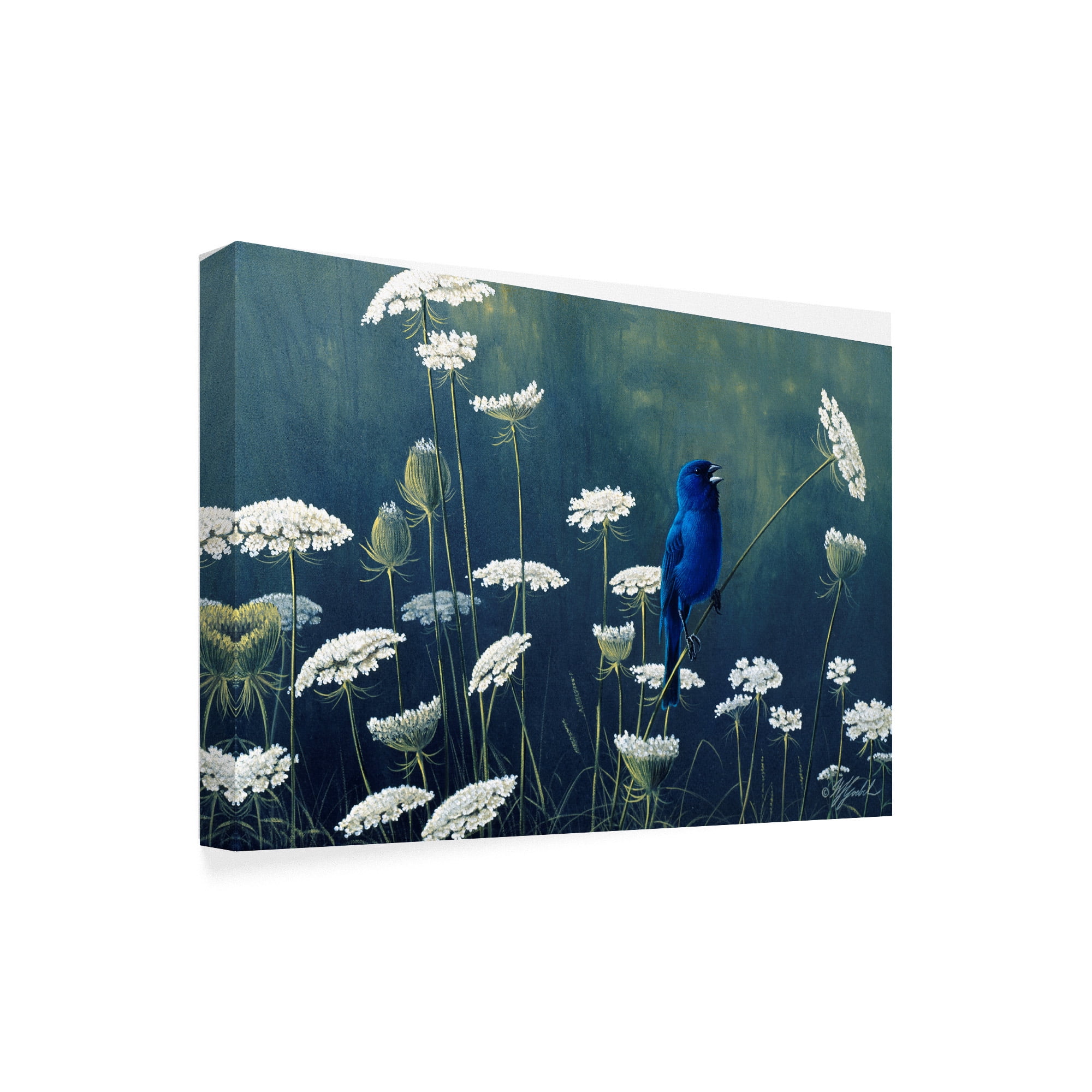 Trademark Fine Art 'Indigo And Lace Indigo Bunting' Canvas Art by Wilhelm Goebel