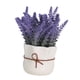 thumbnail image 1 of Maceta de flores BLESIY Bonsái en maceta de lavanda para oficina de Cocina de hotel Estilo A, 1 of 8