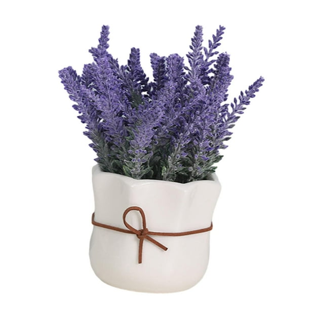 Maceta de flores BLESIY Bonsái en maceta de lavanda para oficina de Cocina de hotel Estilo A