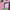 Pink, variant on Frank Ocean Hoodies Rap Merch Casuals Winter For Men Women Long Sleeve Sweatshirt Streetwear