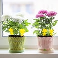 thumbnail image 5 of Yellow Sticky Fly Traps, Dual-Sided Adhesive Fungus Gnat Insect Traps, Butterfly & Tree Shaped Bug Catcher for Indoor Outdoor Potted Plants, Multiple Pack Size Options, 5 of 6