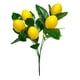 thumbnail image 2 of limón artificial, limones espuma, arreglo floral, elegante decoración para hogar, planta limón para patio, fiesta, mesa, jarrón, boda A, 2 of 8