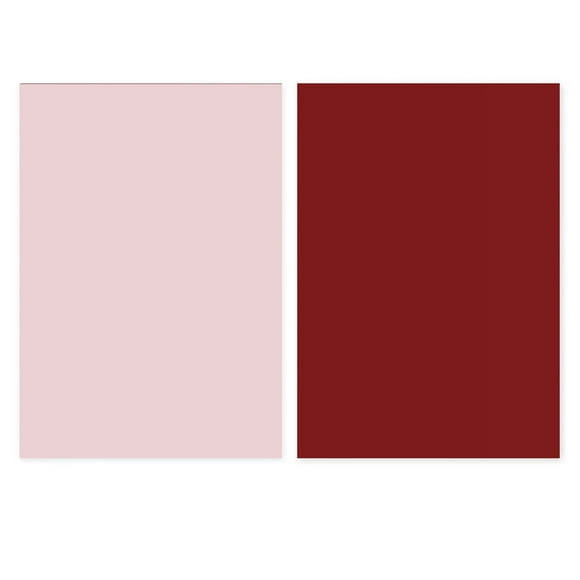 Solid Color Background Paper Double Side Morandi Desktop Photo Backdrop For Accessories Beauty Food Photography Light Pink and Deep Red
