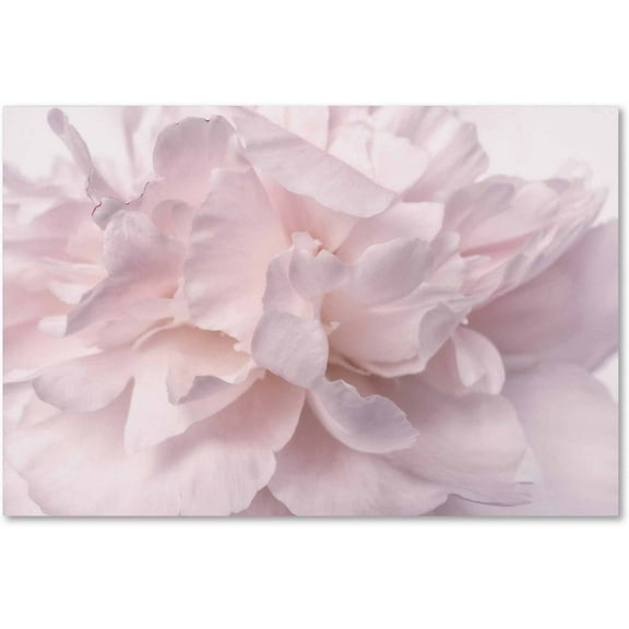 Trademark Fine Art Cora Niele Pink Peony Flower Canvas Wall Art - 12x19