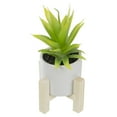 thumbnail image 5 of 8.25" Potted Green Artificial Agave Plant with Wooden Stand, 5 of 5