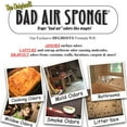 Bad Air Sponge Original Deodorizer and Odor Absorber, 2Pack of 14