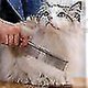 thumbnail image 2 of Pet Stainless Steel Comb, Metal Row Tooth Comb, Large, Medium And Dog And Cat Hair Comb, 2 of 3