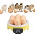 thumbnail image 1 of Incubadora de huevos Jadeshay automática doméstica inteligente 7 huevos Rendimiento confiable, 1 of 8