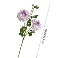 thumbnail image 2 of 30.7in Artificial Peonies Flowers Branch, 2 Heads Silk Peonies with Long Stems, Fake Single Stem Peony Bouquet for Wedding Party Table Centerpieces Floral Arrangement Home Kitchen, 2 of 7