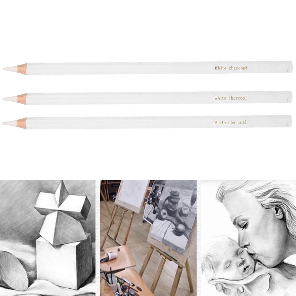 for Beginners & Pro Artists Sketching Blending Art Supplies Sketch White Pencils for Drawing Art MUJINHUA Professional Colour Charcoal Pencils Drawing Set of 12 Shading 
