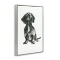 thumbnail image 4 of Stupell Industries Dachshund Sitting Drawing Animals & Insects Drawing Gray Framed Art Print Wall Art, 16 x 24, 4 of 10