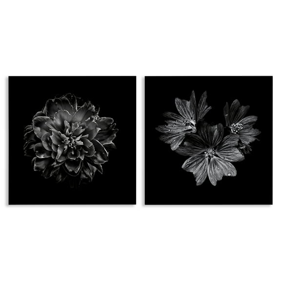 Stupell Industries Blossoms with Water Droplets Animals Painting Wrapped Canvas Art Print Wall Art, 17 x 17, Set of 2