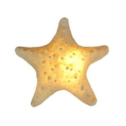White Starfish Sea Star Coastal Accent Lamp 16 Inch Diameter