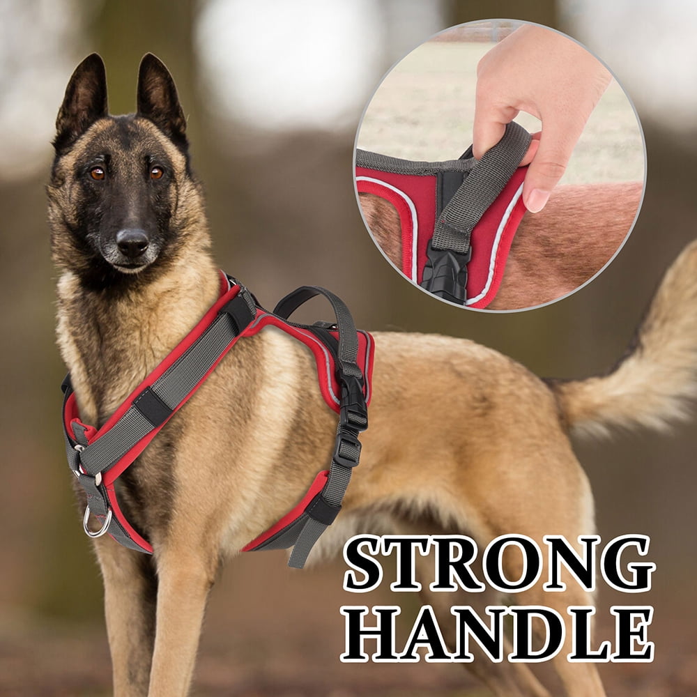 Beirui Reflective No Pull Dog Harness Soft Padded Adjustable Training Vest With Handle & 2 Leash Clips