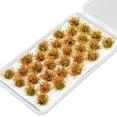 thumbnail image 3 of Rushawy 32 Pieces Modelling Flower Cluster Miniature Flower for Model Building Kits Sand Withered Yellow, 3 of 9