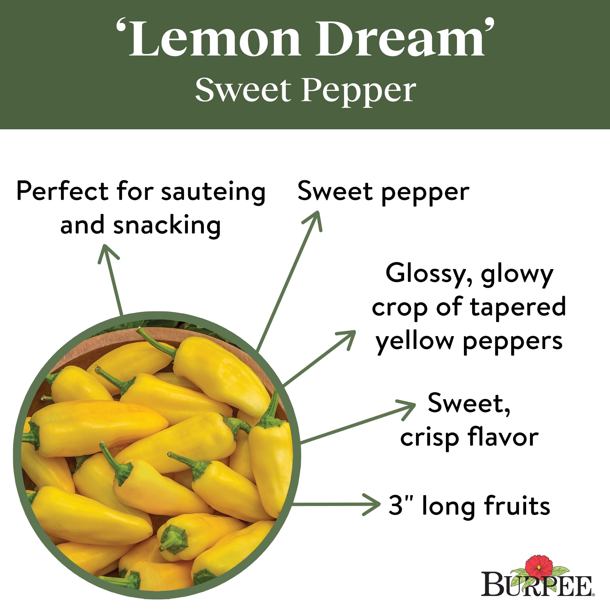 Burpee Lemon Dream Sweet Pepper Vegetable Seed, 1-Pack