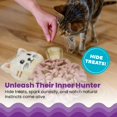 thumbnail image 3 of Alfombra Olfativa Catstages Juguete Interactivo para Gatos con Golosinas, 3 of 7